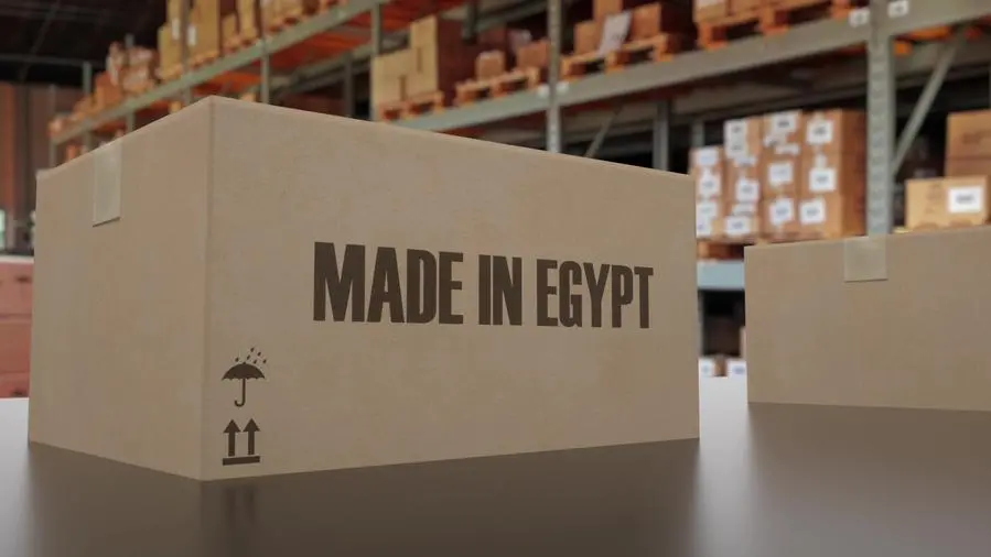 Made in Egypt: The country's path to becoming a services hub