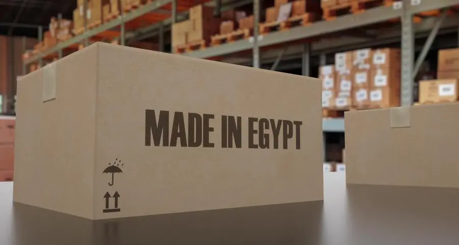 Made in Egypt: The country's path to becoming a services hub