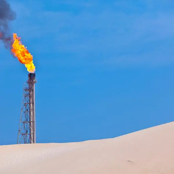 Qatar Gas seeks to raise $1bln in syndicated loan: Report