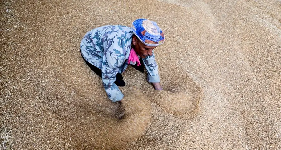 Ukraine, Egypt agree steps to boost grain and sunflower oil trade