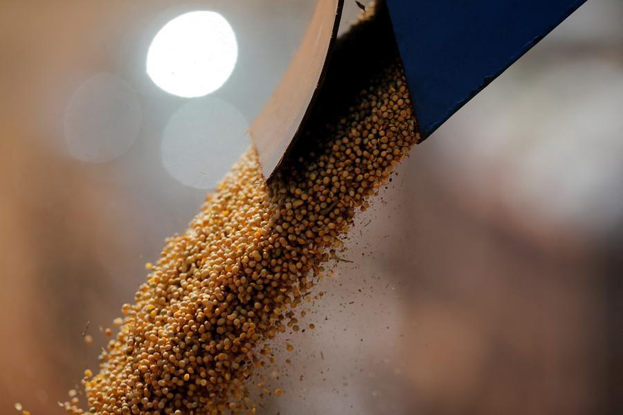 Chicago soy, grains retreat as technical selling unwinds crude‑driven rally