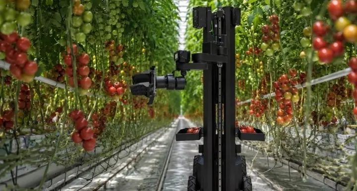 Egrobots unveils the first autonomous harvesting robot in Egypt and the Arab world