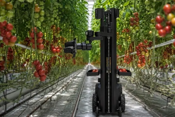 Egypt’s Egrobots Debuts Region’s First Autonomous Harvesting Robot