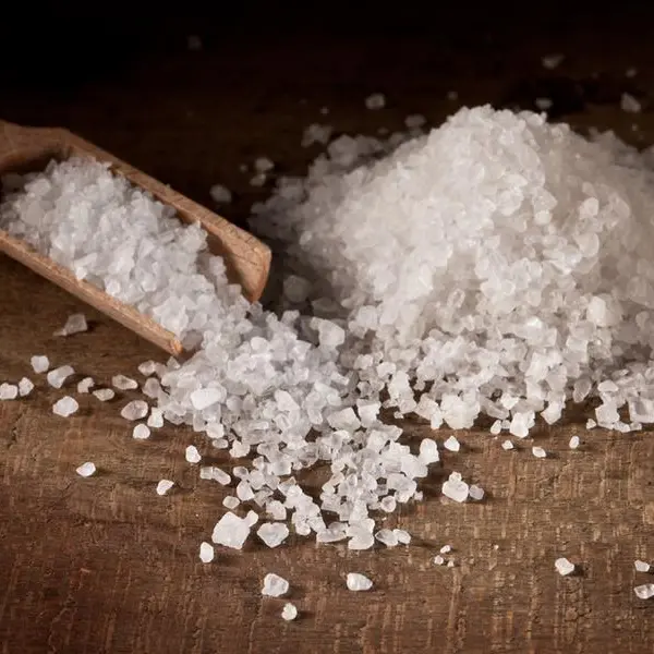 Oman deal to set up $34mln industrial salt venture