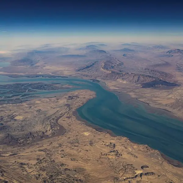 UAE expresses disappointment at Security Council's failure to act on Strait of Hormuz crisis