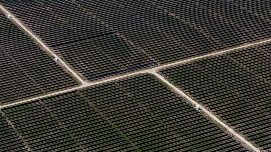 Record US clean power run rolls on through May: Maguire