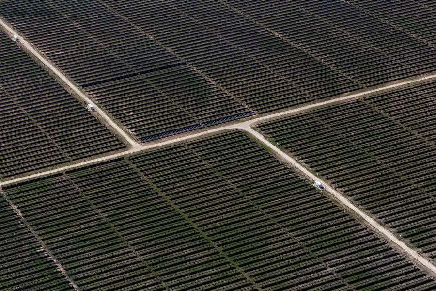 FILE PHOTO: An aerial view shows rows of solar panels at a solar farm in Anson, Texas, U.S., April 23, 2025. REUTERS/Daniel Cole. , Reuters