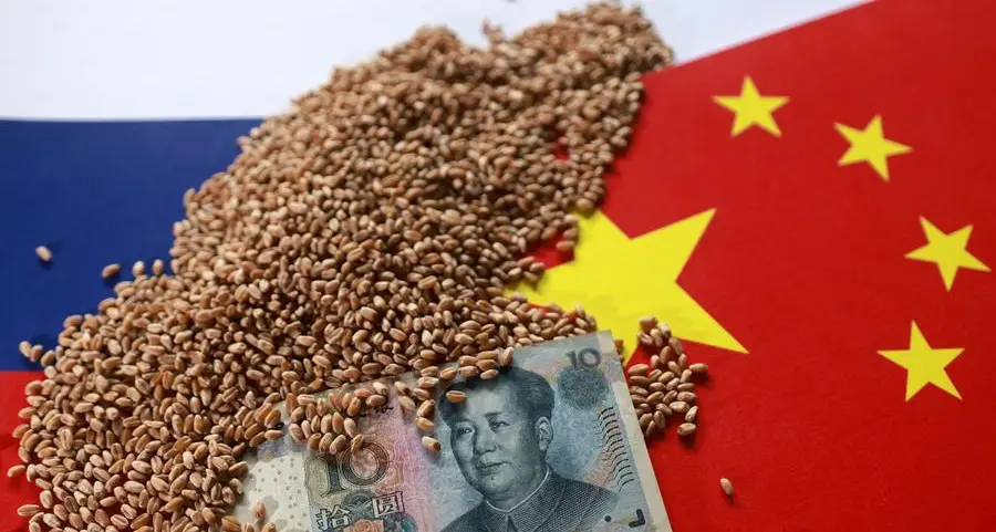 Chicago wheat extends decline as harvest pressure builds