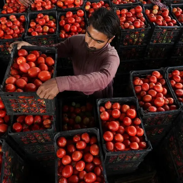 Pakistan October inflation rises to 6.2%, highest in 12 months