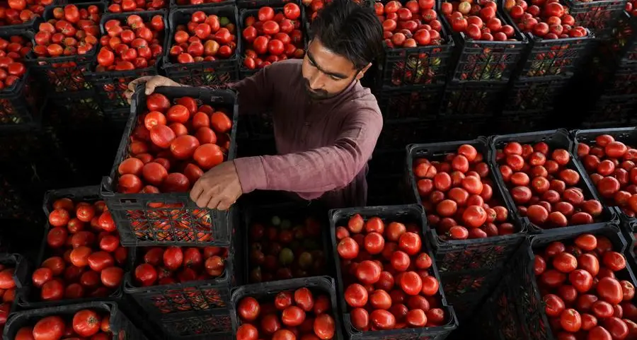 Pakistan October inflation rises to 6.2%, highest in 12 months