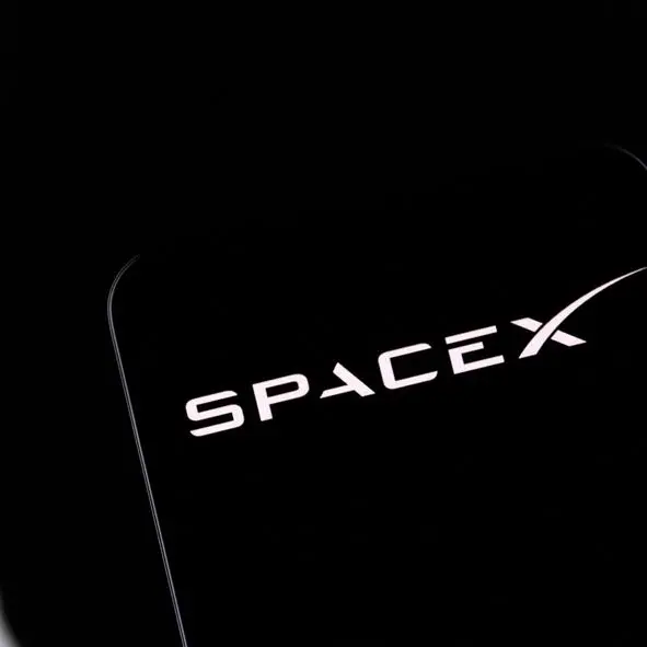 Musk's Mars mission adds risk to red-hot SpaceX IPO