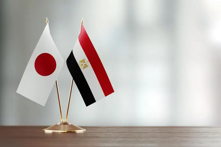 Egypt, Japan sign 12 investment agreements covering strategic sectors
