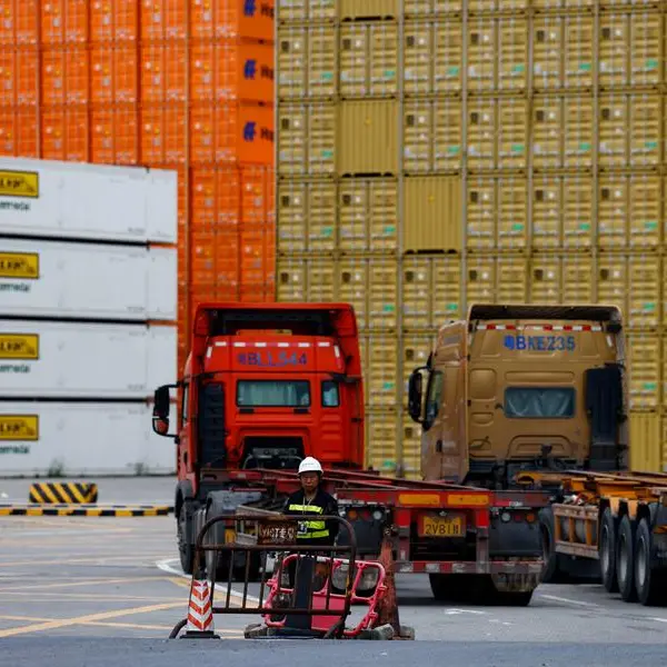 Australia's new haul of Chinese online goods helps tame inflation