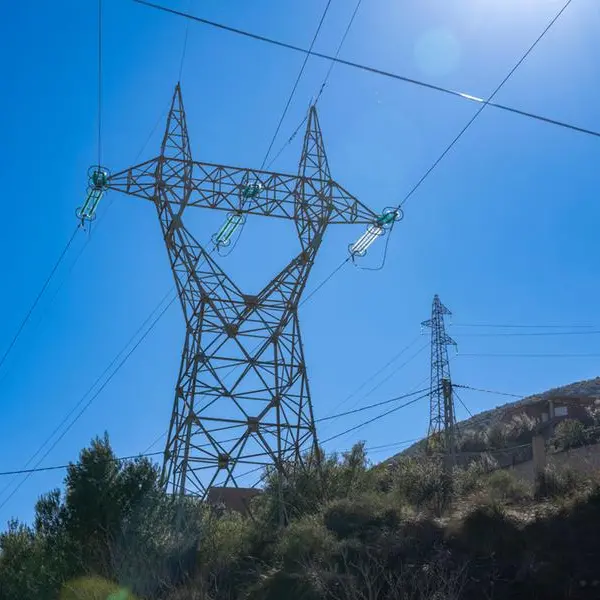 Algeria’s Sonelgaz launches international subsidiary to expand overseas power and energy projects