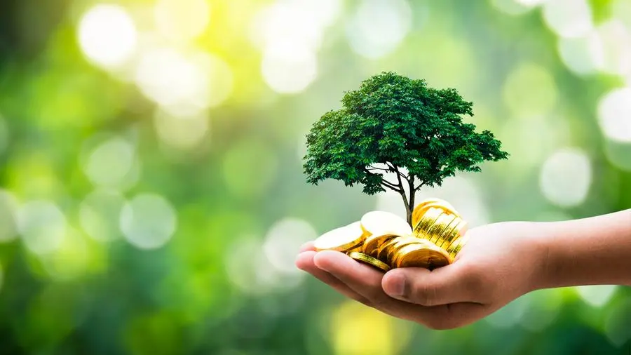 UAE leads Arab world in 2026 Environmental Performance Index