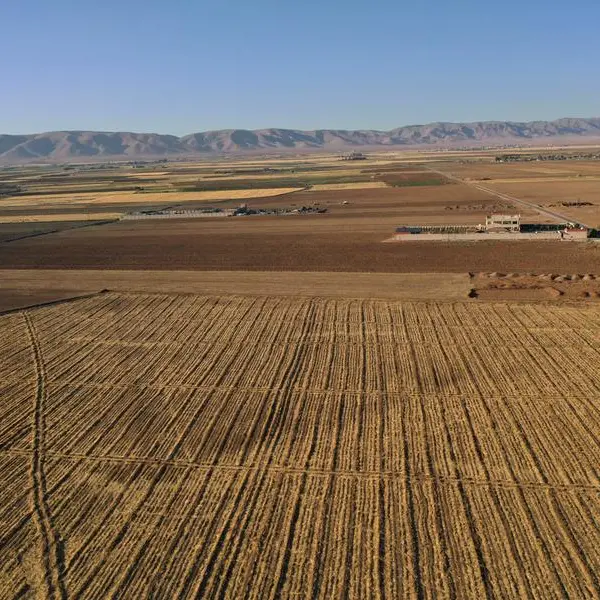 Saudi Arabia buys 907,000 metric tons of wheat in tender, traders say