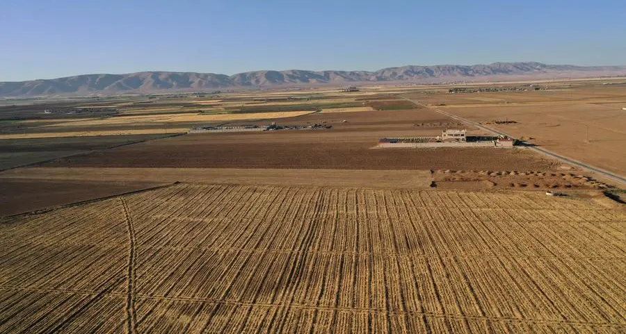 Saudi Arabia buys 907,000 metric tons of wheat in tender, traders say