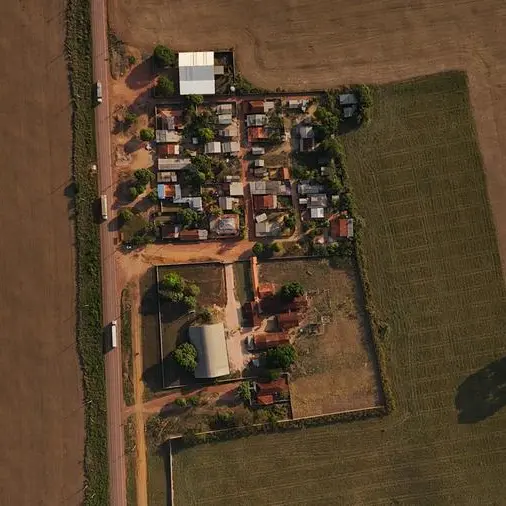 Soybean futures fall on ample global supply, firmer dollar