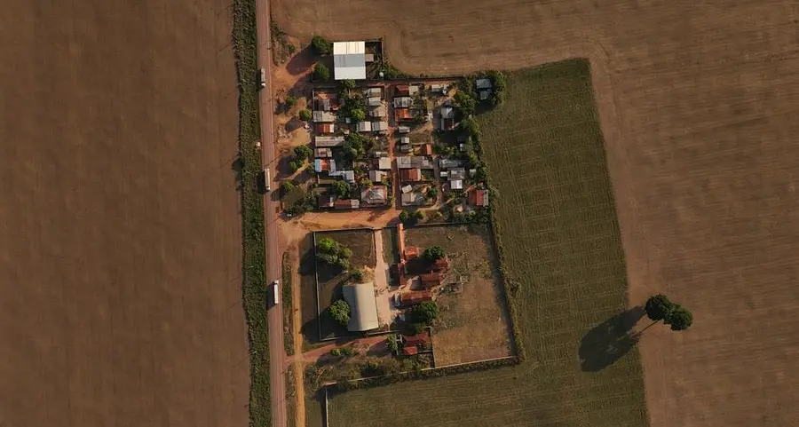 Soybean futures fall on ample global supply, firmer dollar