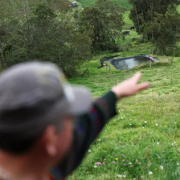 UN COP16 nature talks gridlocked as conservation funding trickles in