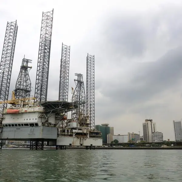 Nigeria: Shipper MSC secures 45‑year Lagos port concession with Nigerdock