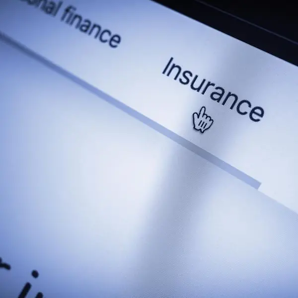 Egypt’s FRA issues new website and cybersecurity rules for insurance sector