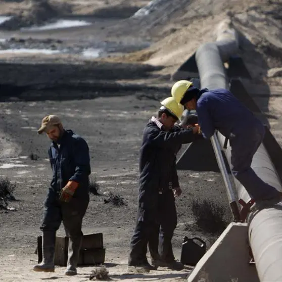 Iraq to reduce crude oil exports in May and June, official says