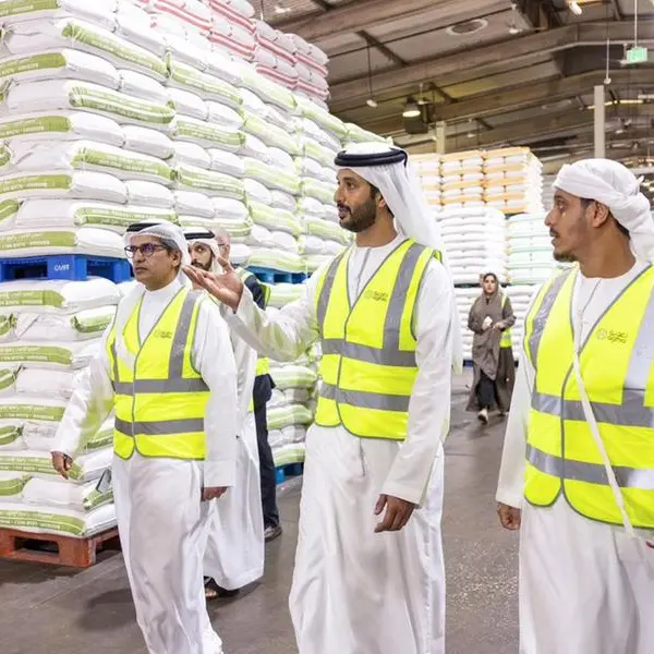 وزير الاقتصاد والسياحة يطّلع على عمليات توزيع وإنتاج الدقيق المحلي في شركة \"المطاحن الكبرى\" وخططها التشغيلية خلال المرحلة المقبلة