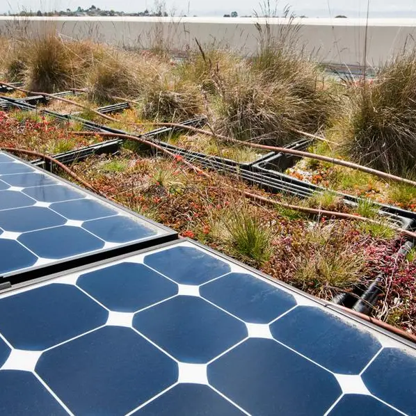 Tunisia includes 50MW Beni Mhira solar project in 2026 energy plan