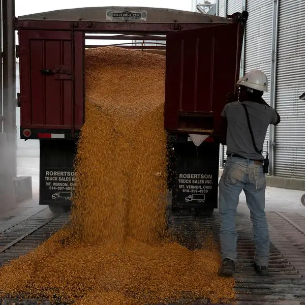 Chicago soybeans fall from two-week highs