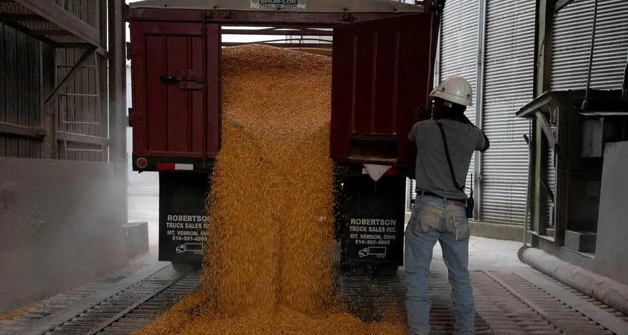 Chicago grains and oilseeds rally after holiday weekend