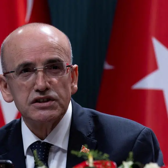 Turkey's Simsek says determined to maintain lasting disinflation process