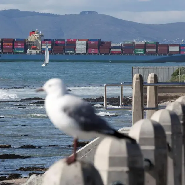 Cruise tourism delivers $119mln boost to Cape Town CBD economy