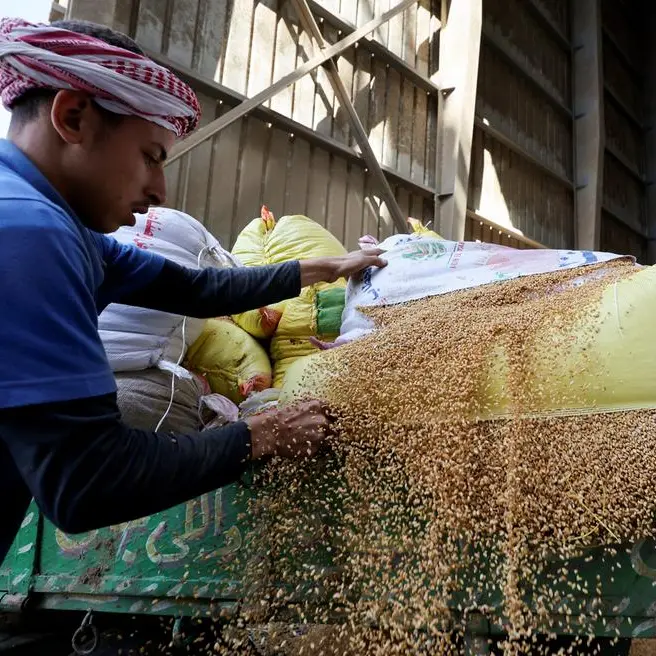 From Imports to Resilience: Egypt’s wheat strategy takes root