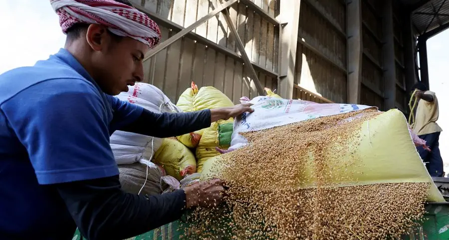 From Imports to Resilience: Egypt’s wheat strategy takes root