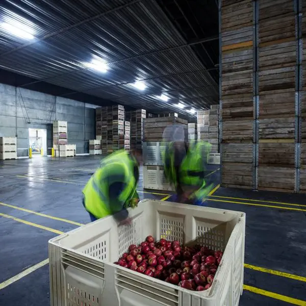 Egypt’s food exports surge 21% in 2024