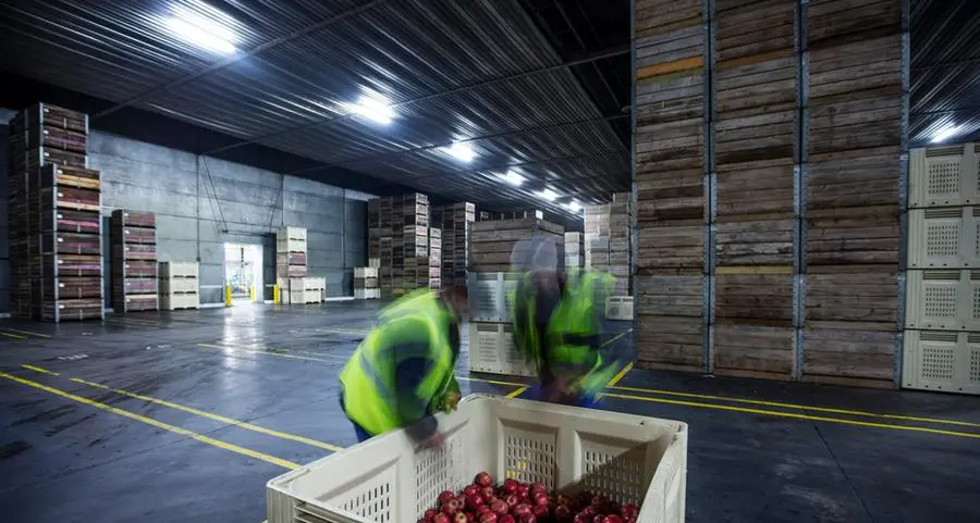 Egypt’s food exports surge 21% in 2024