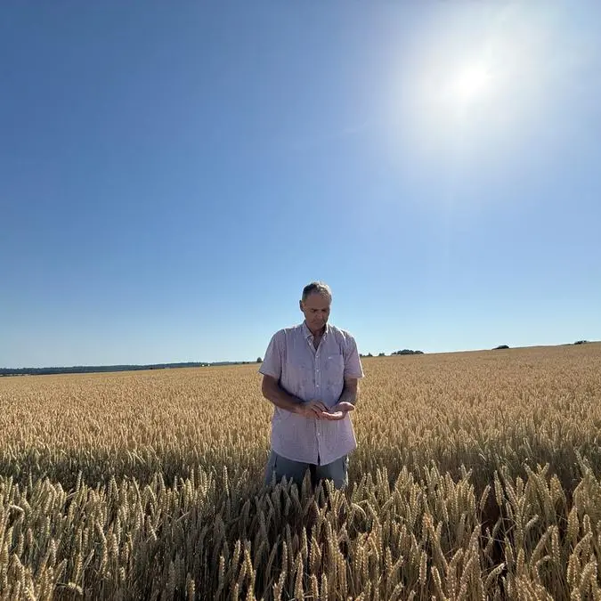 Chicago grains ease with weather and USDA data in focus