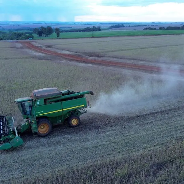 Soybeans fall for second session; market eyes Chinese demand