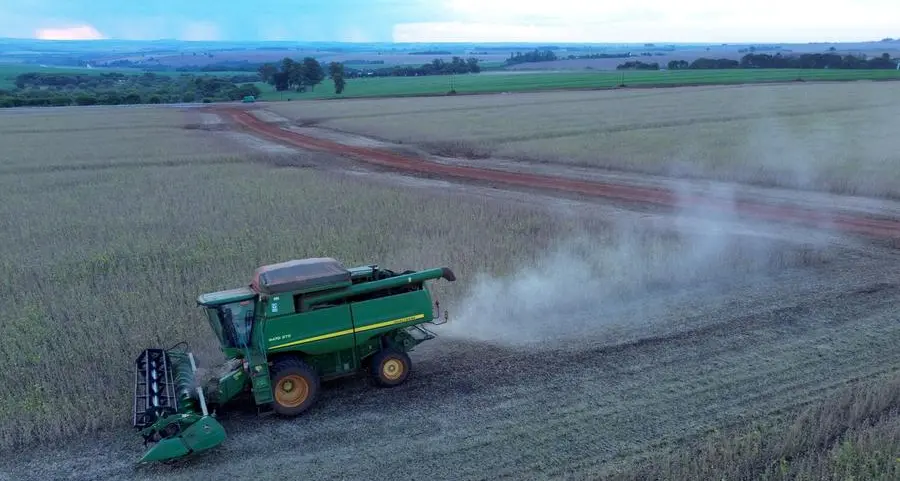 Soybeans fall for second session; market eyes Chinese demand
