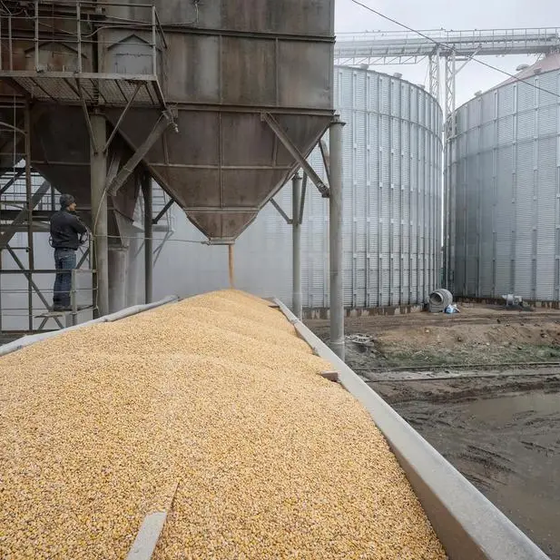 Ukrainian corn seed flows to Europe in further farm trade shift