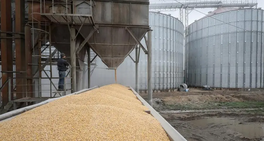 Ukrainian corn seed flows to Europe in further farm trade shift