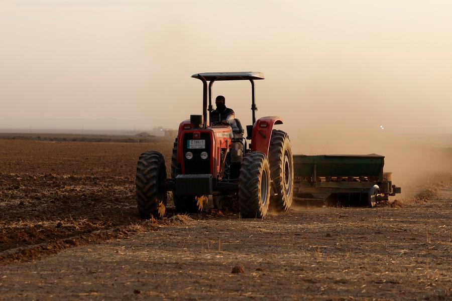 Wheat eases as rain forecasts offset war worries