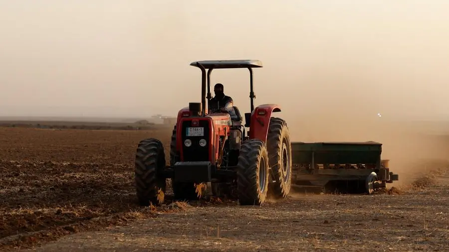 Wheat eases as rain forecasts offset war worries