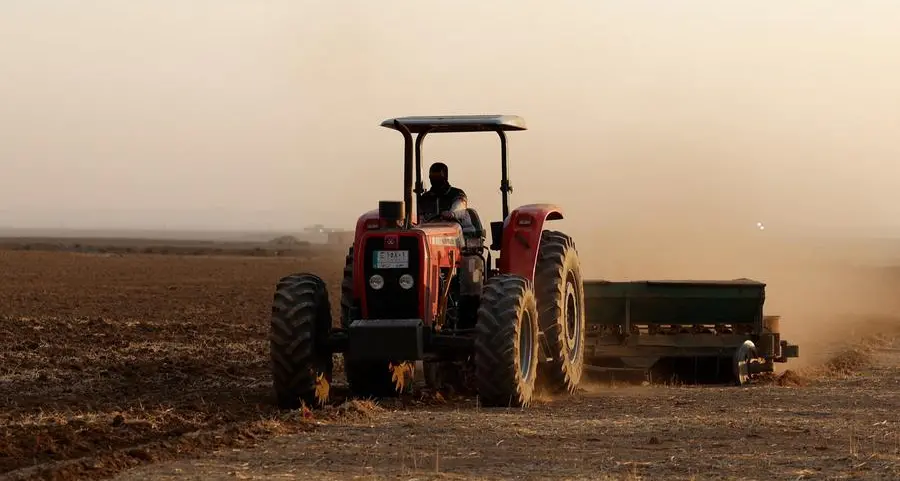 Wheat eases as rain forecasts offset war worries