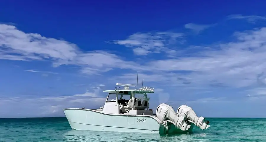 سيلفركات تفتتح آفاقًا جديدة مع أول صفقة مبيعات باستخدام العملات المشفّرة لأوروبا