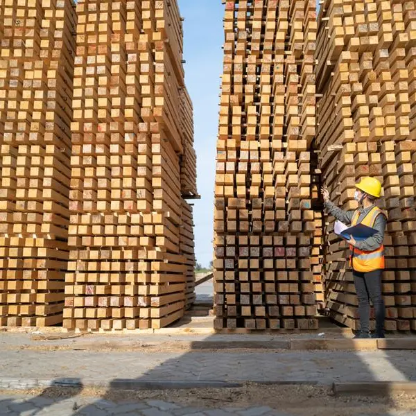 US hardwood lumber exports to MENA up 11% in H1