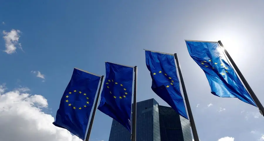 ECB accounts show 'high option value' in staying on sidelines