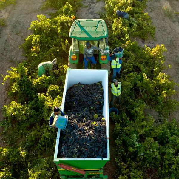 Agricultural exports from Africa are not doing well. Four ways to change that