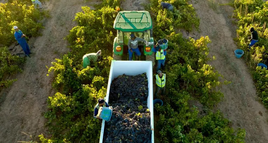 Agricultural exports from Africa are not doing well. Four ways to change that